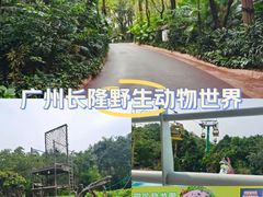 -广州长隆野生动物世界