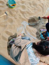 -恐龙探索乐园(磁器口店)