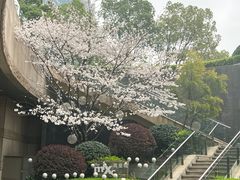 -星巴克臻选(杭州万象城店)