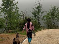 -大姆山草场