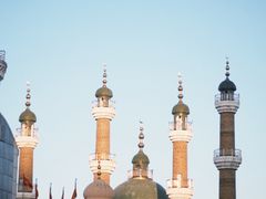 -努日曼无花果抓饭快餐(和田街小区店)