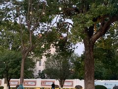 -七宝老街-闵行市民文化广场
