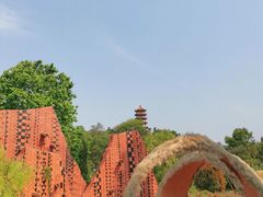 -深圳仙湖植物园
