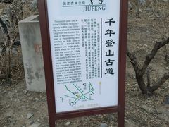 -北京鹫峰国家森林公园