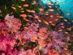 -嘉百乐超市(新东街店)