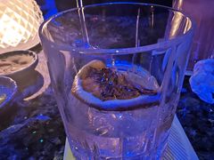 -SPARK(成都W酒店)