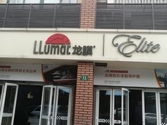 -车艺佳龙膜隐形车衣汽车贴膜(宝山丰宝店)