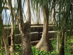 -石家庄市植物园
