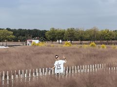 -嘉北郊野公园