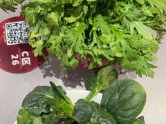 -洞子口重庆鲜货火锅(楚翘城旗舰店)