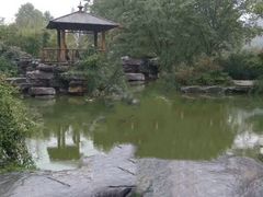 -习家池