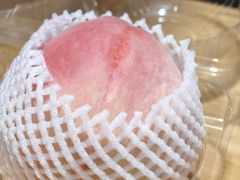 -老袁家蜜桃农场·阳山水蜜桃