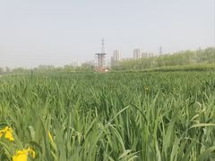 -永定河休闲森林公园