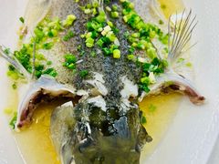 -渔意楼·驰名沙田乳鸽(五羊店)