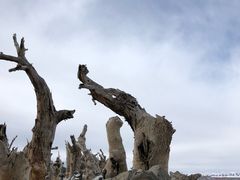 -丝绸之路山地度假区滑雪场