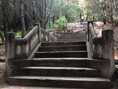 -北京鹫峰国家森林公园