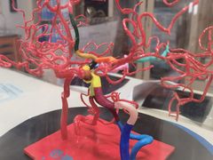 -首都医科大学附属北京天坛医院