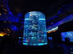 -芜湖新华联大白鲸海洋公园