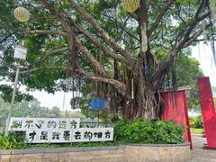 -泉州迎宾馆