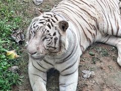 -济南野生动物世界