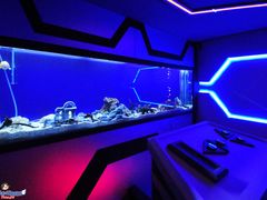 -MOJO密室逃脱(中街旗舰店)