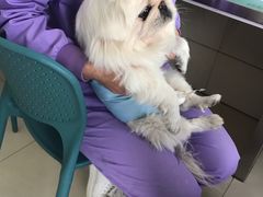 -康旭宠物医院(郑州总院)