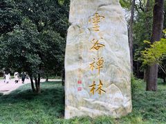 -灵谷景区