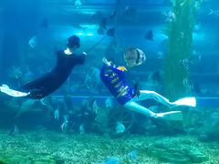 -顺德南宏海立方海洋公园