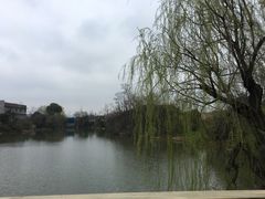 -桃花岛景观公园