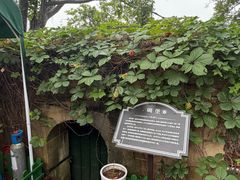 -青岛德国总督楼旧址博物馆