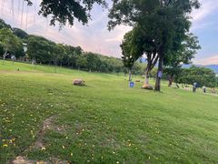 -牛岗山公园