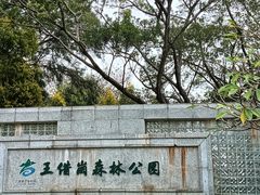 -王借岗森林公园