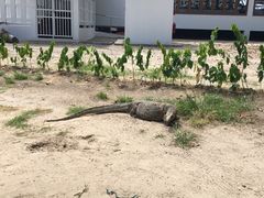-东姑阿都拉曼海洋公园