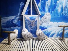 -成都浩海立方海洋公园