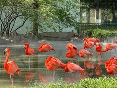 -石家庄市动物园