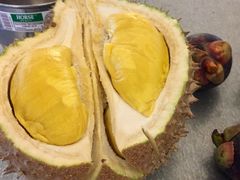 -都念榴莲·城市榴莲