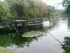 -晓港公园
