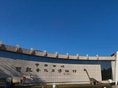 -中国西峡恐龙遗迹园