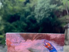 -雅鲁激流探险漂流