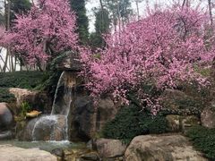 -秀丽东方