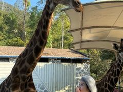 -泉州海丝野生动物世界