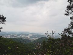 -白云山风景名胜区