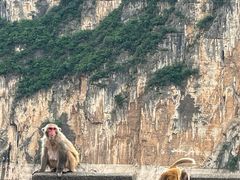 -白帝城·瞿塘峡景区