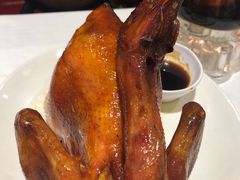 手撕童子烧土鸡-稻香酒家(天河城店)