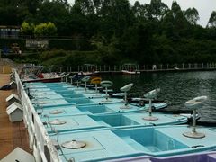 -中旅阿那亚九龙湖·公主酒店