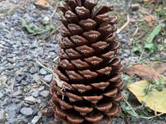 -昆山城市生态森林公园