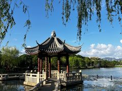-江心屿景区