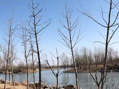 -马家湾湿地公园