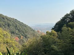 -韬光茶庵