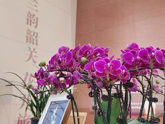 -韶关站